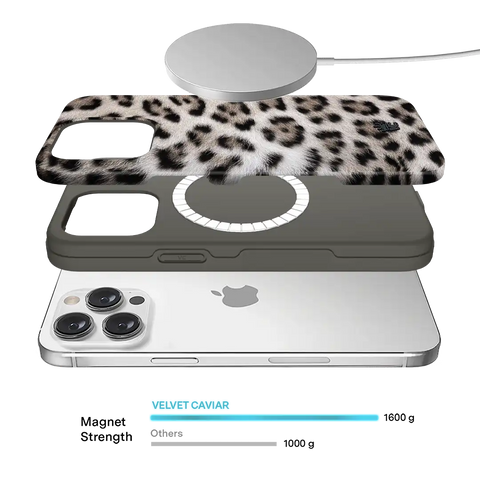 Arctic Leopard iPhone Case