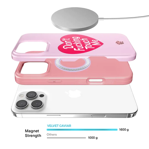 Don't F Touch Me iPhone Case