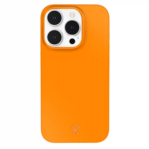 Pumpkin Spice Orange iPhone Case