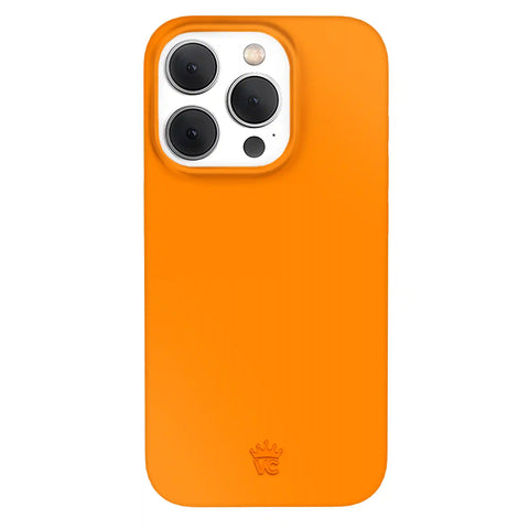 Pumpkin Spice Orange iPhone Case