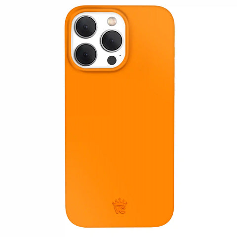 Pumpkin Spice Orange iPhone Case