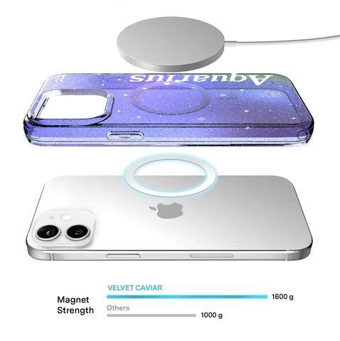 Sanctuary Aquarius iPhone Case
